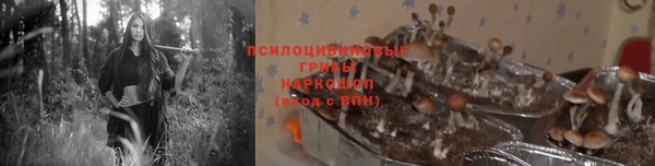 скорость Абаза