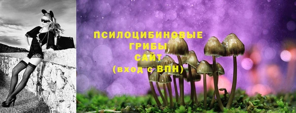 скорость Абаза