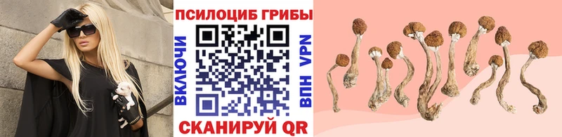 Псилоцибиновые грибы прущие грибы  как найти закладки  hydra как зайти  Фатеж 